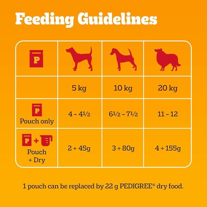 Pedigree Mixed Selection in Jelly 40 Pouches, Adult Wet Dog Food, Megapack (40 x 100 g)