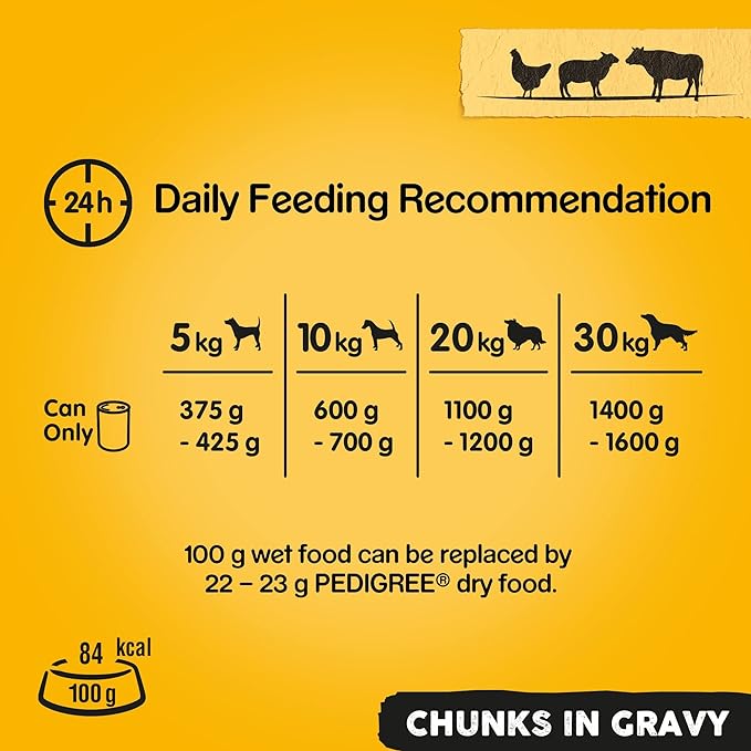 Pedigree Adult - Wet Dog Food - for Adult Dogs - Can Mixed Selection in Gravy - 12 x 400 g