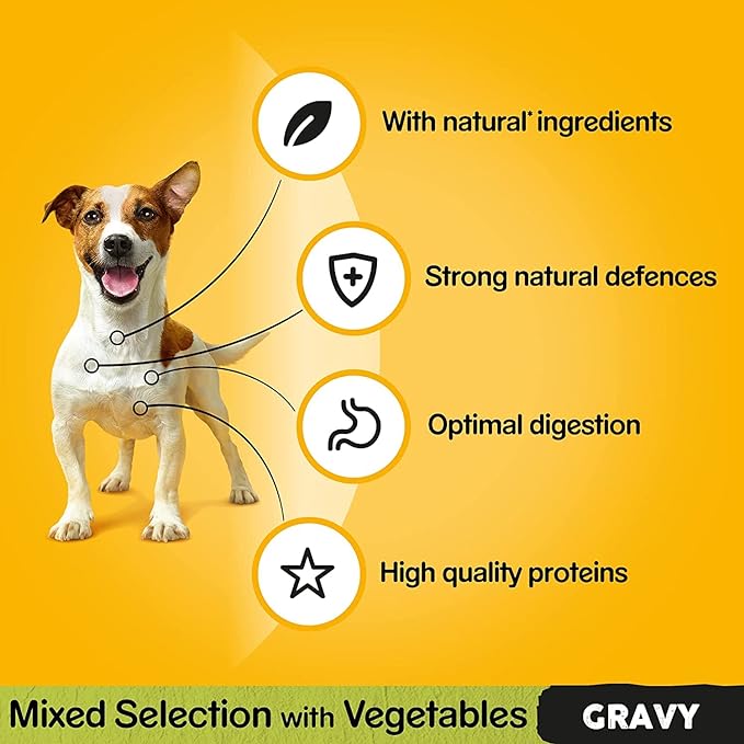 Pedigree Mixed Selection in Gravy 40 Pouches, Adult Wet Dog Food, Megapack (40 x 100 g) (Copy)