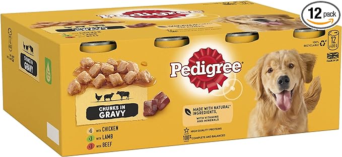 Pedigree Adult - Wet Dog Food - for Adult Dogs - Can Mixed Selection in Gravy - 12 x 400 g