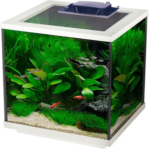 Interpet Aqua Cube Glass Fish Tank Aquarium with Integrated LED Lighting and Easy Care Filter, 28L, Clear/White