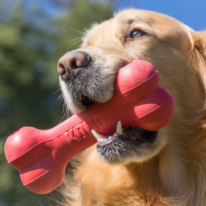 KONG Goodie Bone Red