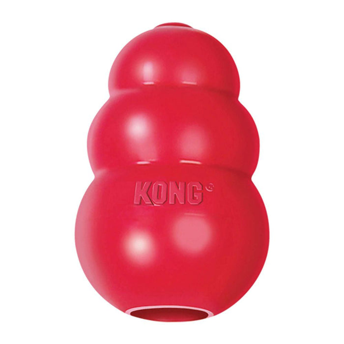 The KONG Classic Small Toy for Dogs