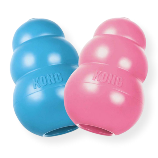 KONG Puppy Blue/Pink