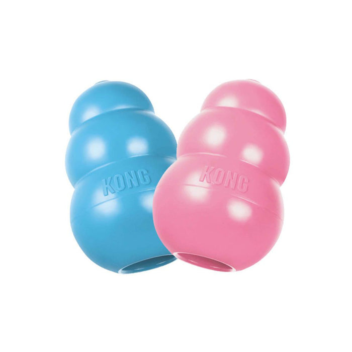 KONG Puppy Blue/Pink