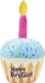 Birthday Cake Plush Toy Small