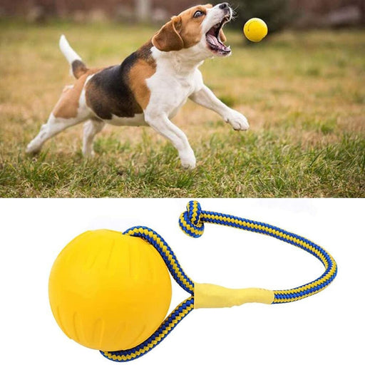 EVA Floating Training Ball Rope Chew Toys